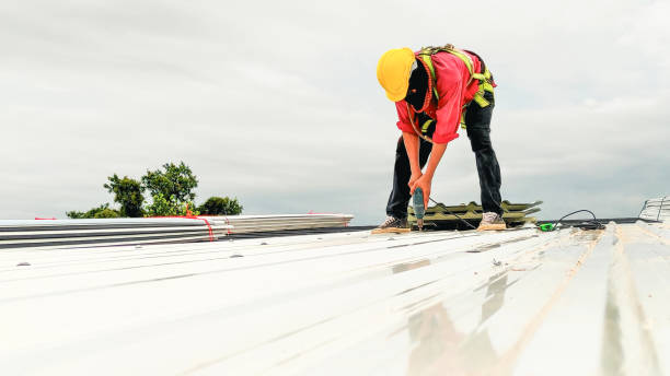 Best Metal Roofing Installation  in Mirrormont, WA